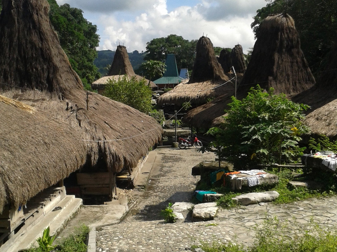 Tarung Cultural Villag景点图片