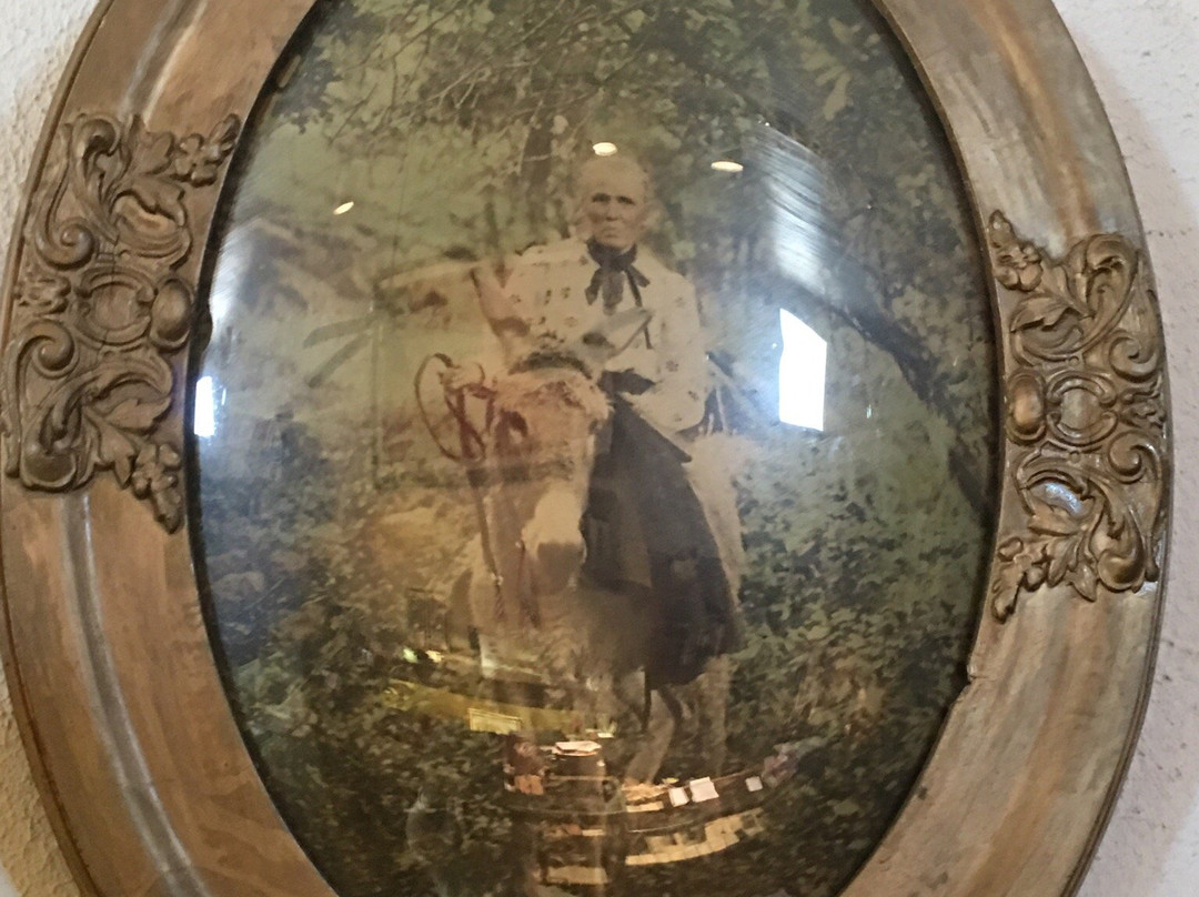 Henderson County Historical Museum-Athens必去景点