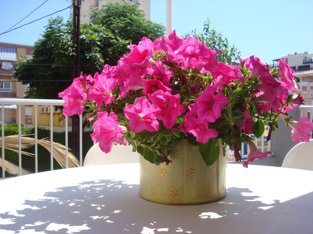 Grau de Gandia酒店住宿-Hotel Fin de Semana