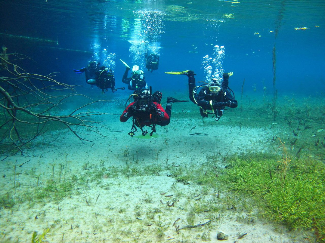 Diving Center Amfora景点图片
