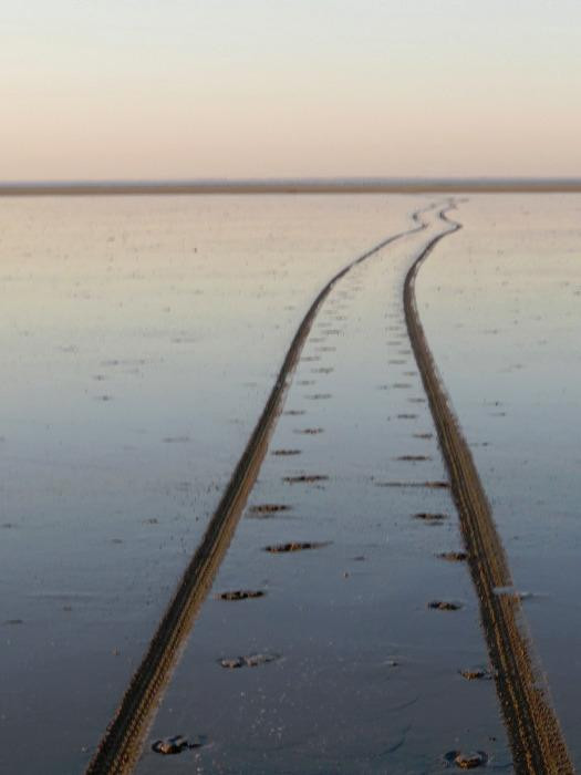 Mandoe Event-Mandoe必去景点