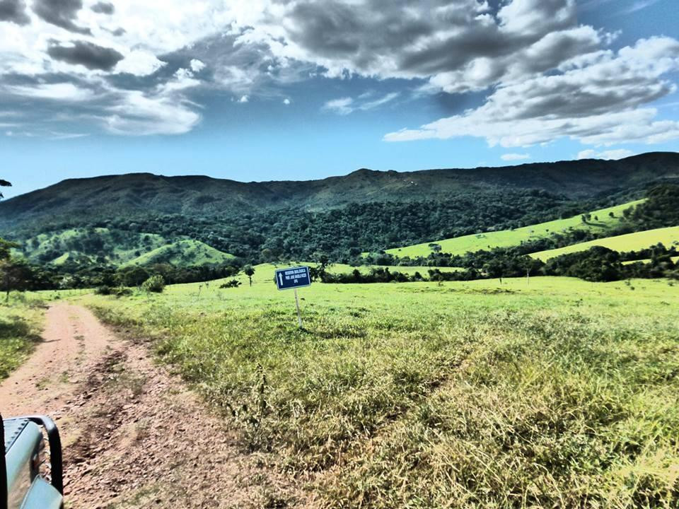 Ipe Turismo Sustentavel-戈亚斯城必去景点