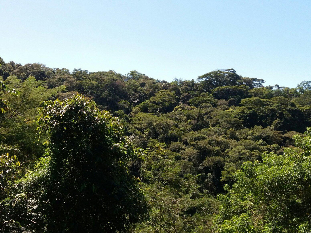 Parque Municipal Atalaia景点图片