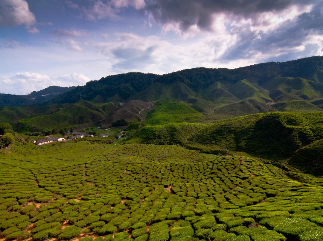 Malaysian Motorcycle Getaways景点图片