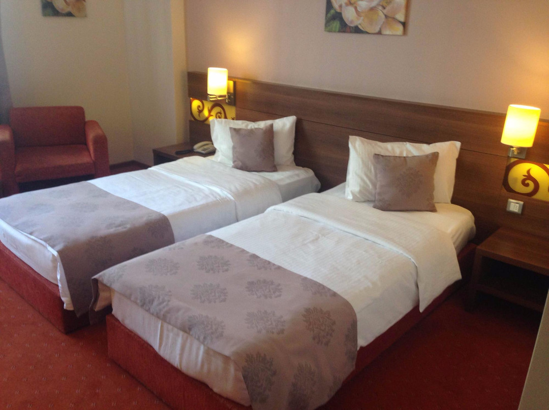 Hotel Otopeni主图