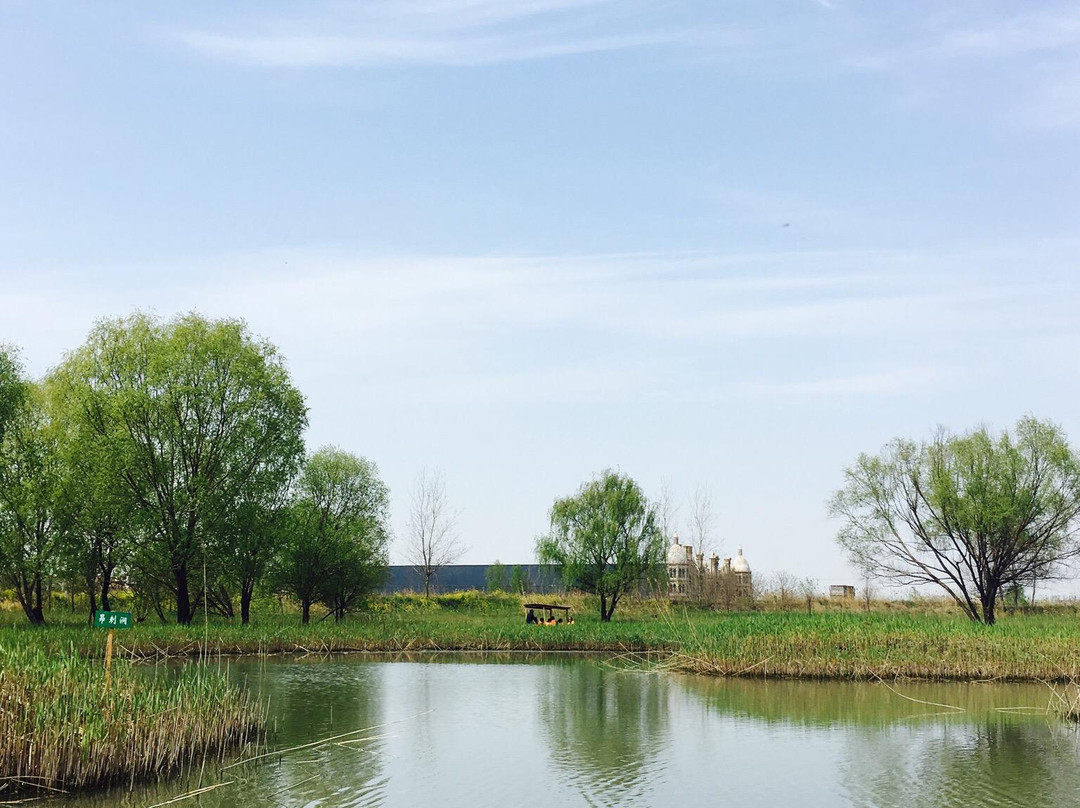 大纵湖湿地-盐城必去景点