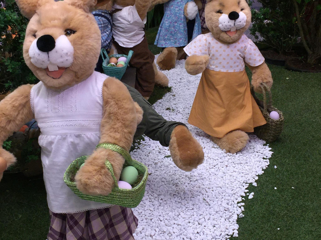 DEZ Einkaufszentrum-卡塞尔行政区必去景点