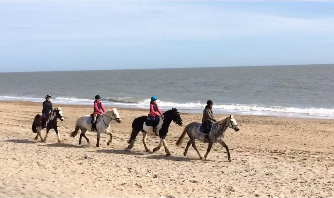 Maltfield Stud Riding School景点图片