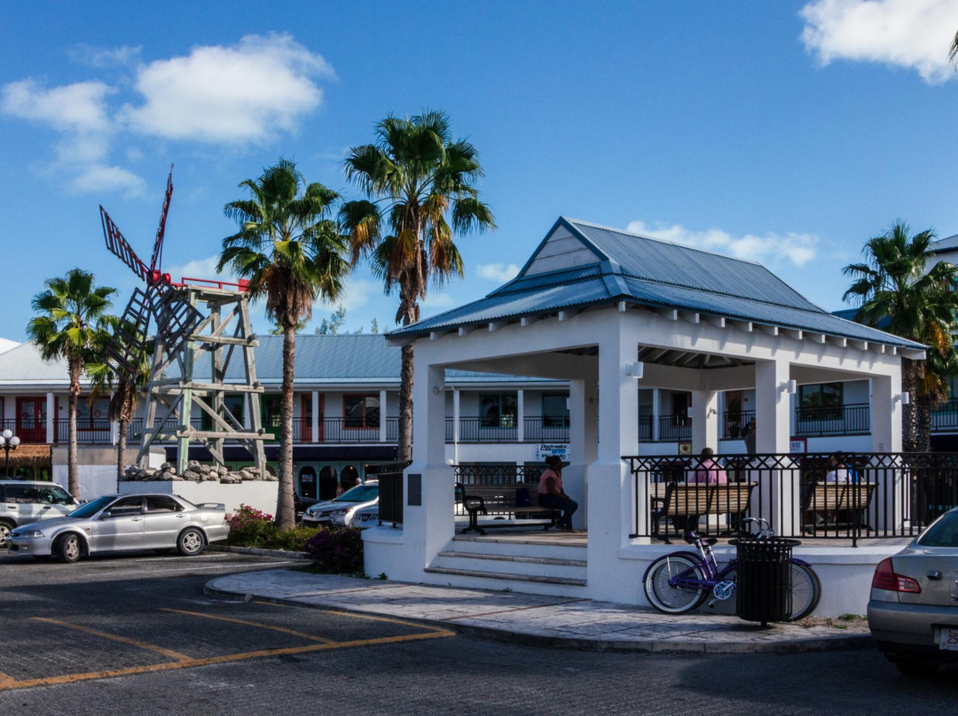 Anna's Art Gallery-普罗维登西亚莱斯必去景点