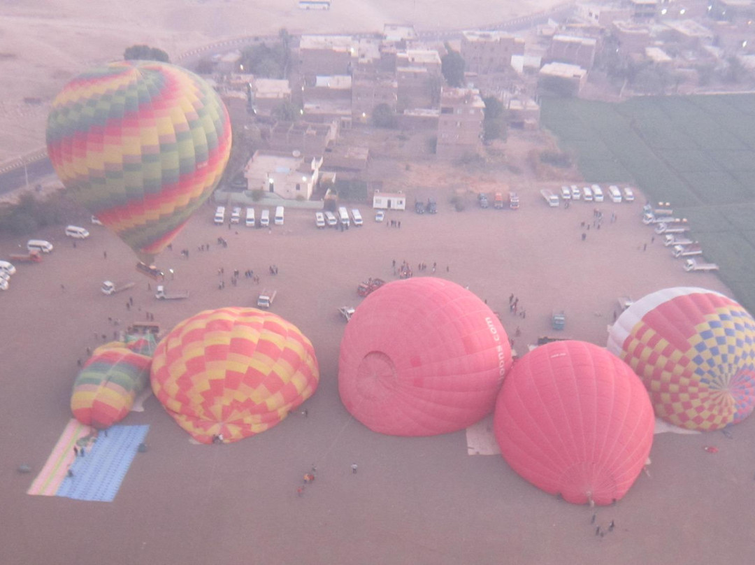 Your Egypt Tours景点图片