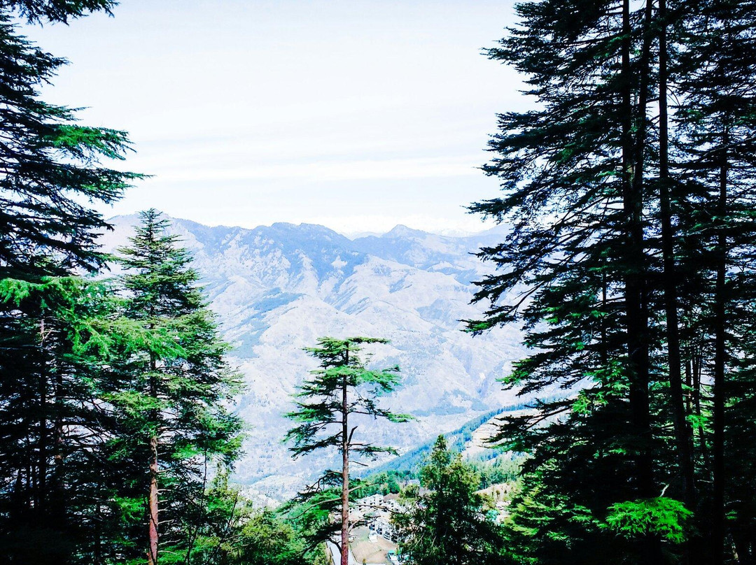 Reserve Forest Sanctuary景点图片