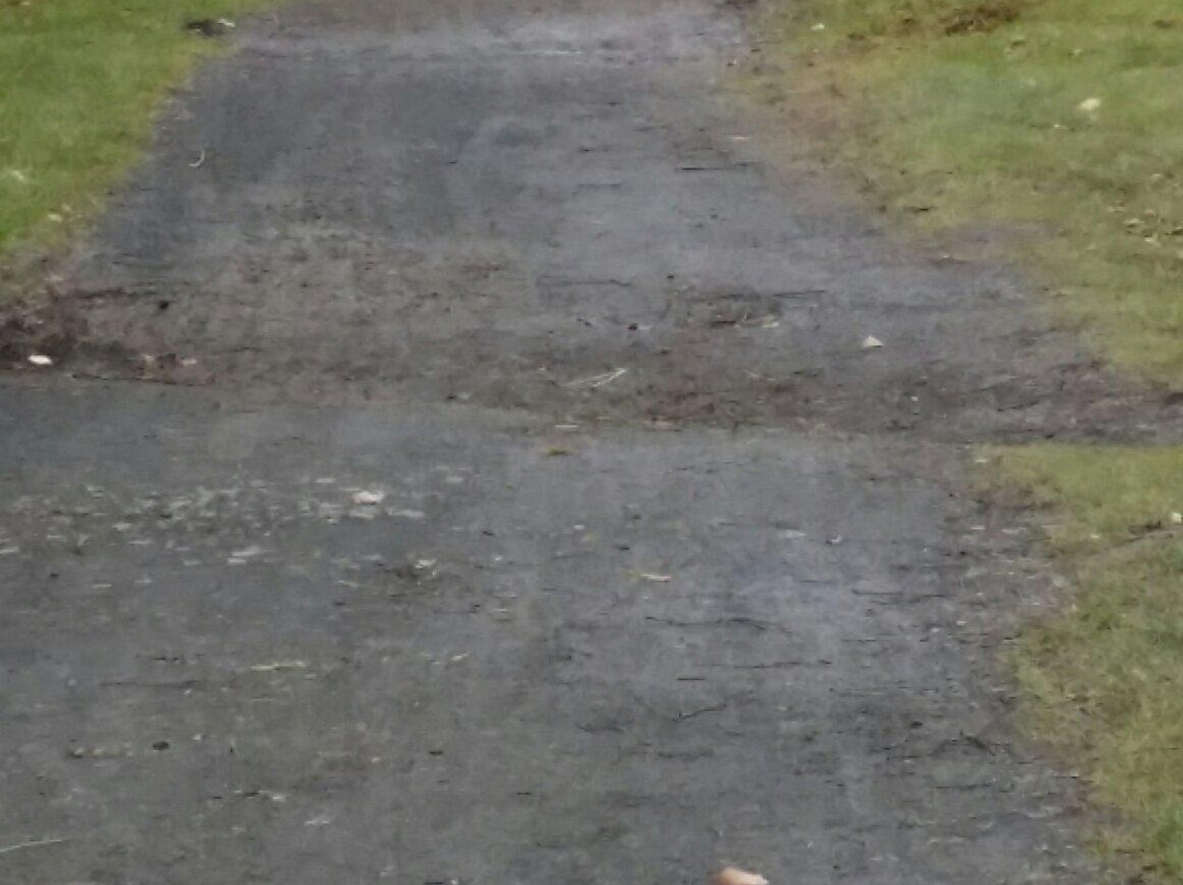 The Bishopbriggs Golf Club-格拉斯哥必去景点