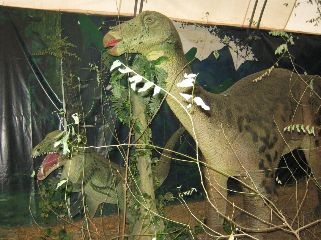 Exposition of Dinosaurs-阿卢什塔必去景点
