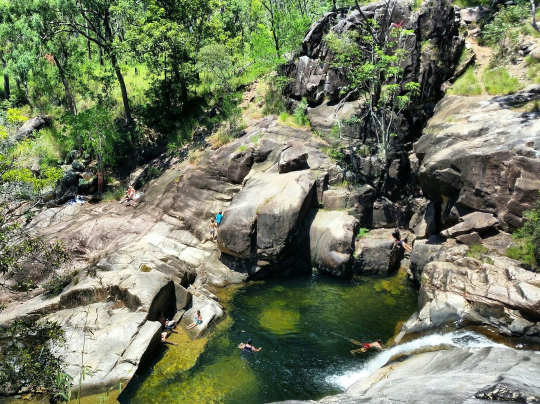 Balgal Beach旅游景点-Paluma and Crystal Creek Rainforest