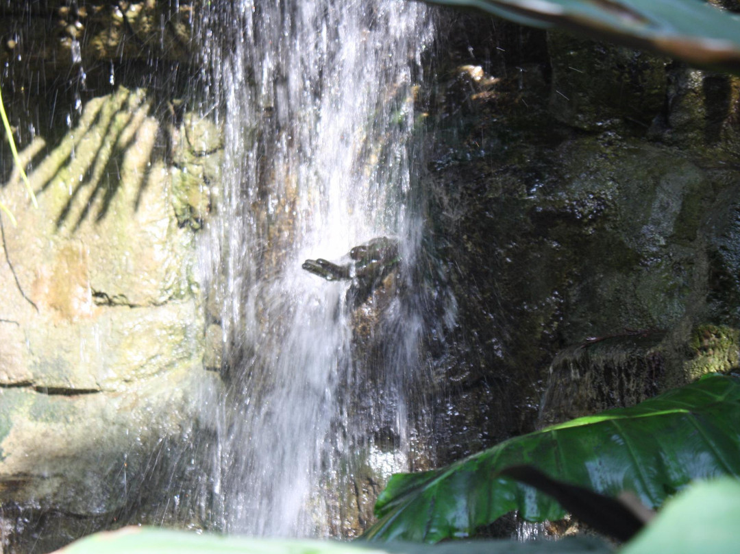 Quad City Botanical Center-罗克艾兰必去景点