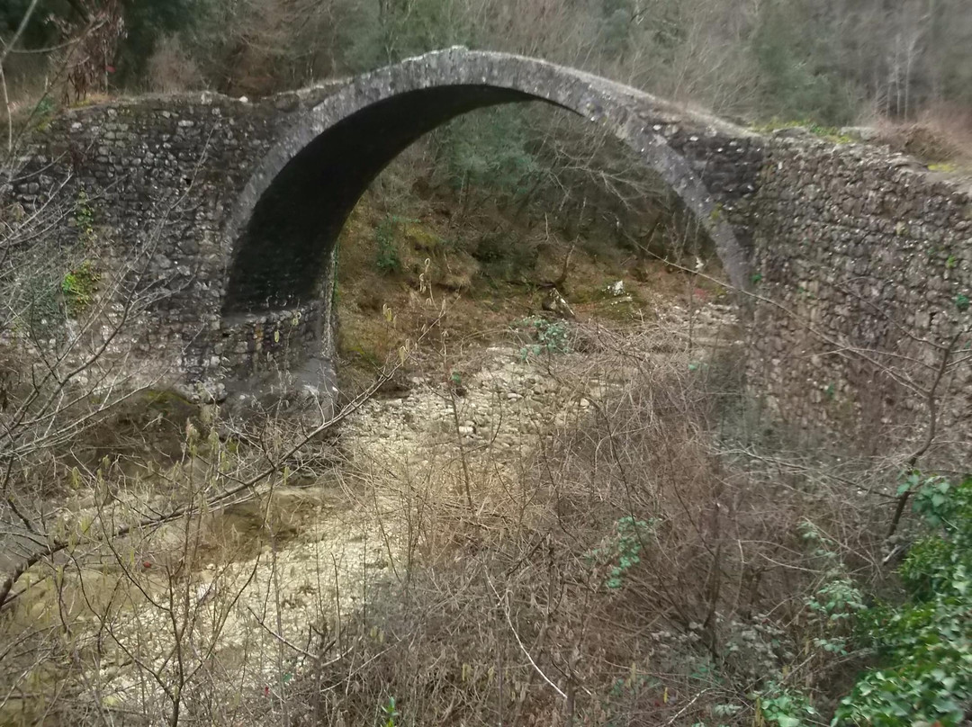 Ponte Della Pia景点图片