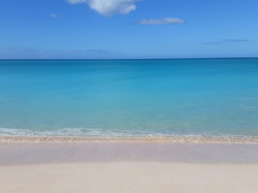 Low Bay-巴布达必去景点