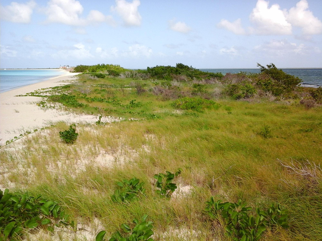 17-Mile Beach-巴布达必去景点
