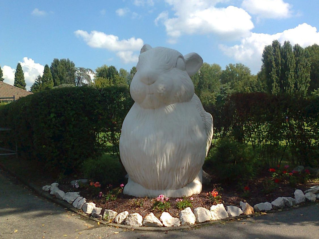 Golf Club Le Rovedine景点图片