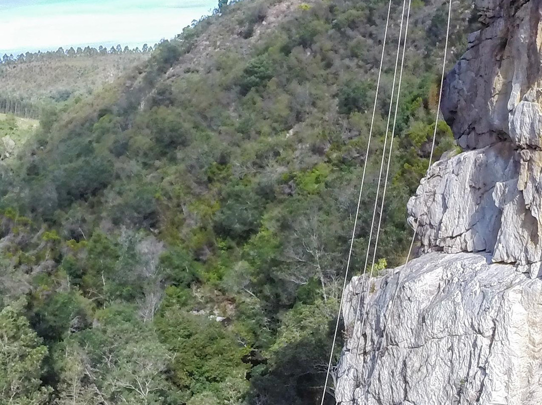 AfriAbseil-普利登堡湾必去景点