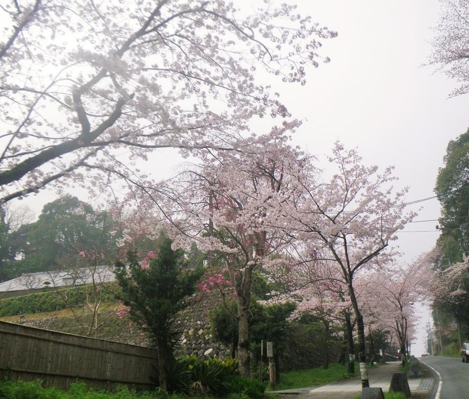 Furuichi Kaido-伊势市必去景点