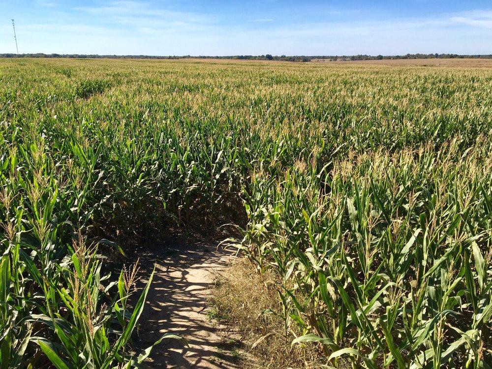 Shryocks Callaway Farms-哥伦比亚市必去景点