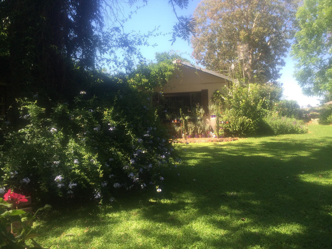 Pottique Lavender Farm-Kingaroy必去景点