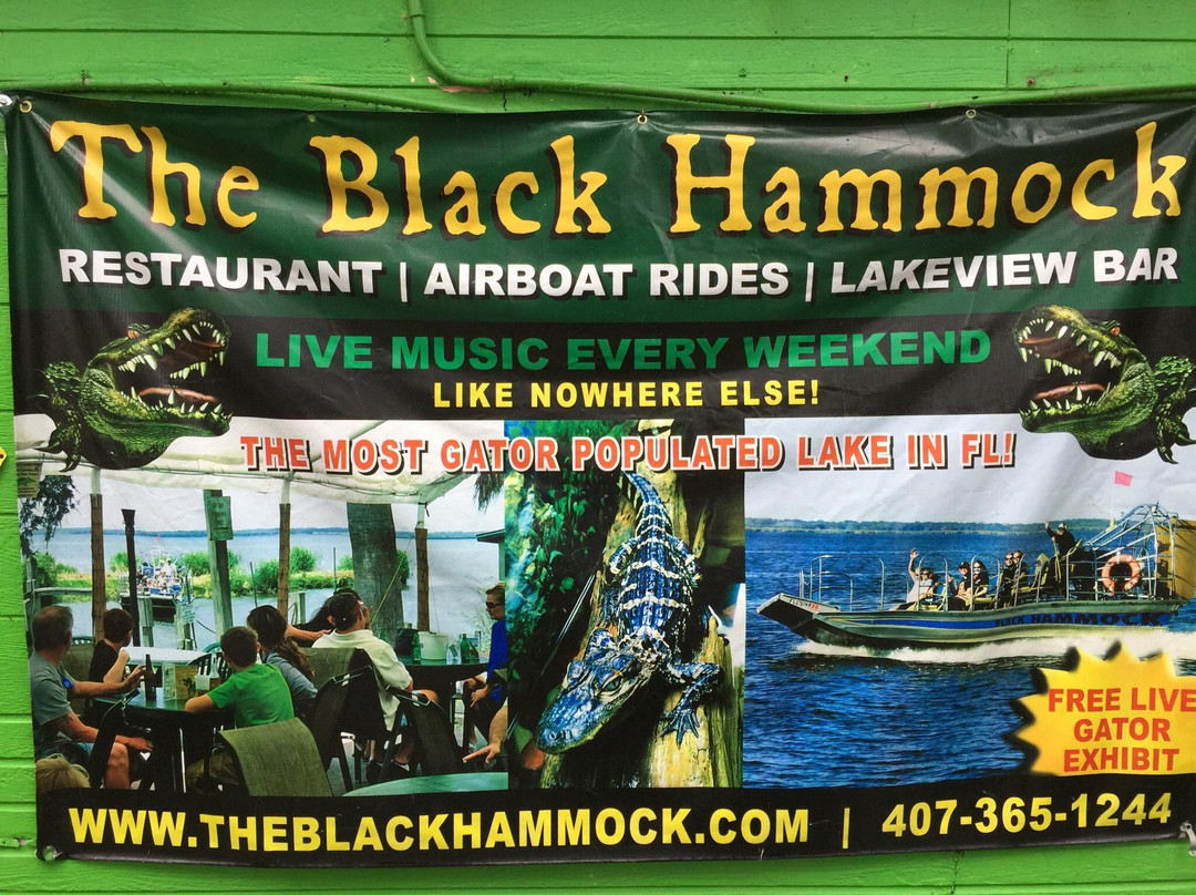 Lazy Gator Bar-Oviedo必去景点