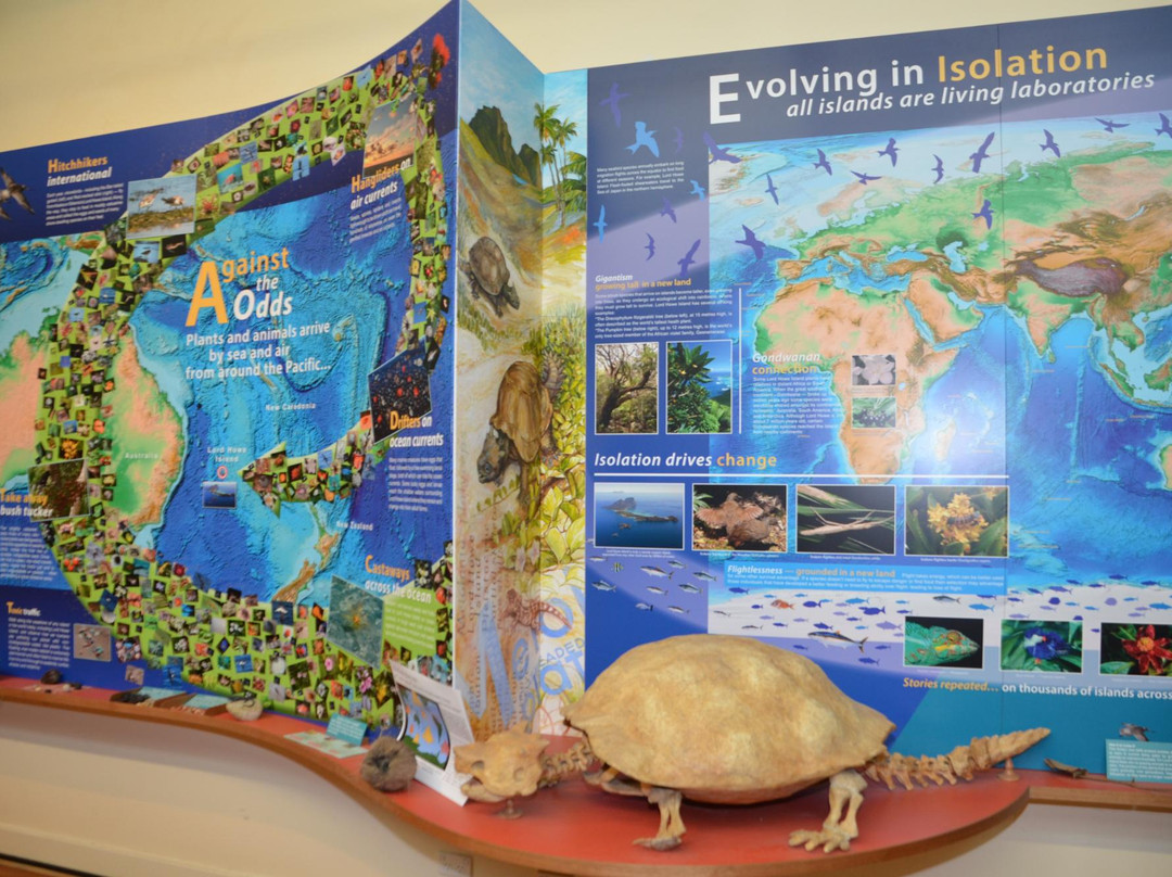 豪勋爵群岛旅游景点-Lord Howe Island Museum