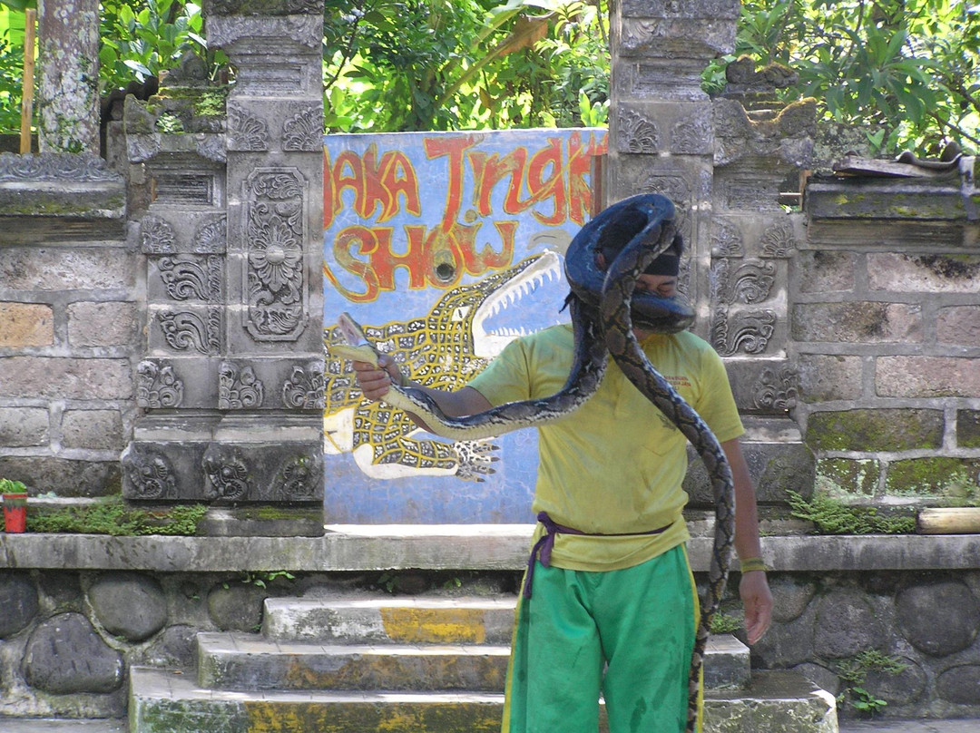 Crocodile and Reptile Indonesia Jaya Park-孟格威必去景点