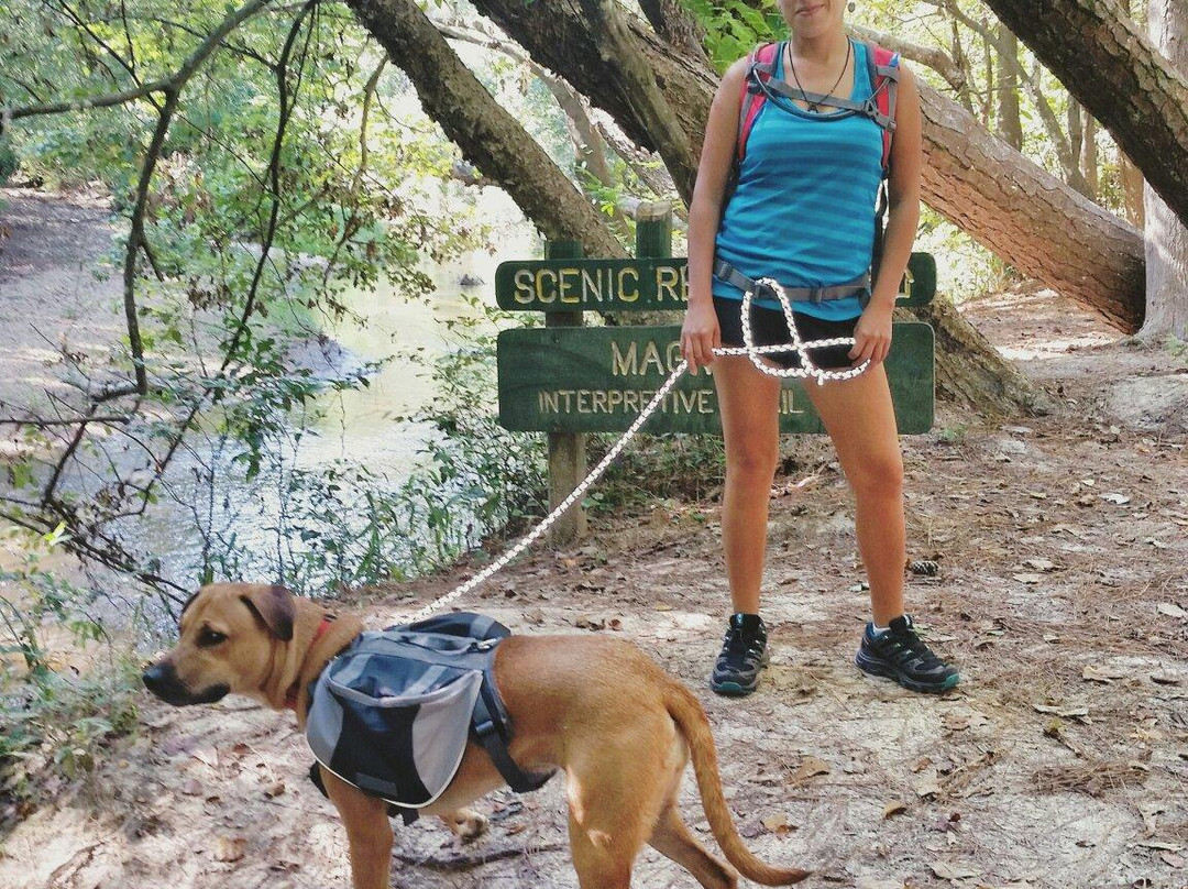 Lake Houston Wilderness Park-New Caney必去景点