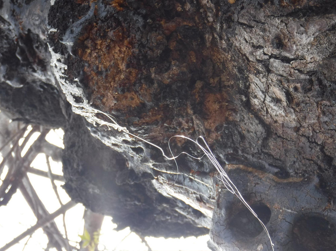 Speelwijk Fortress-西冷必去景点