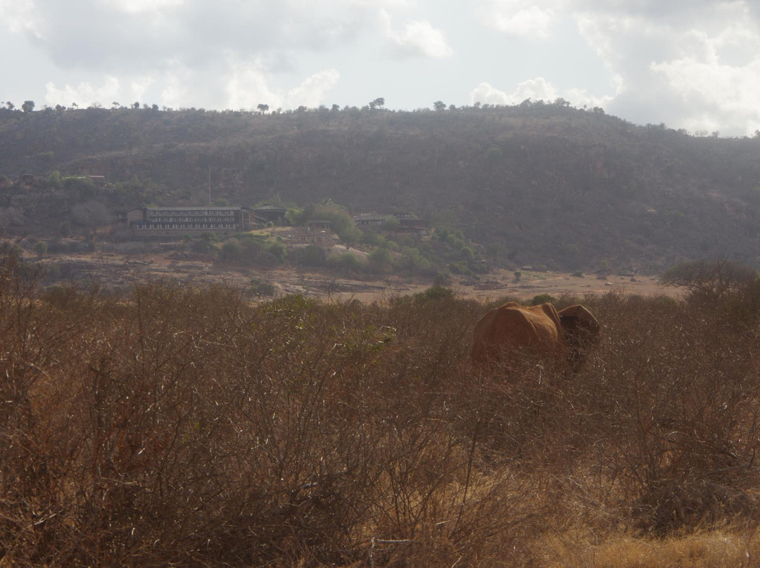 Tsavo Travel & Safaris景点图片