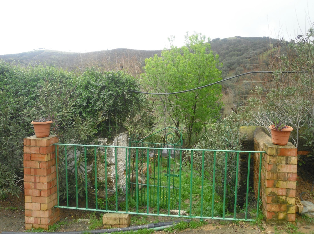 Finca Los Robledos景点图片