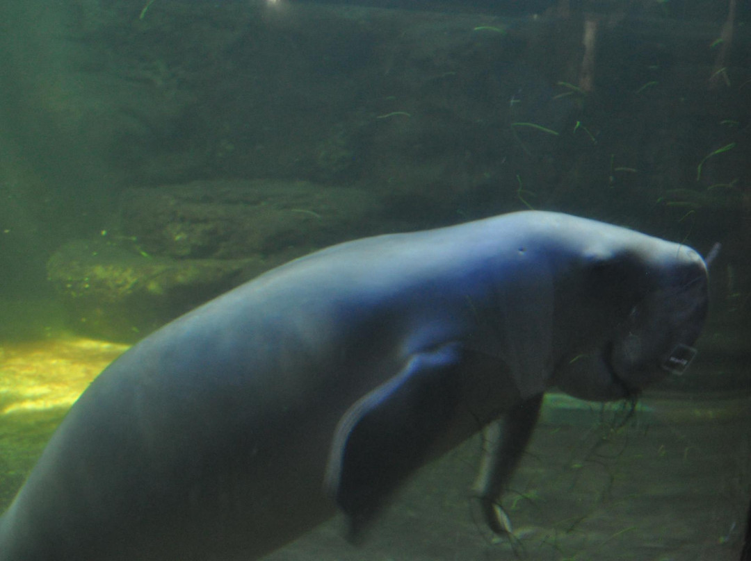 Wonderland Adventure WaterPark Galuh Mas-加拉横必去景点