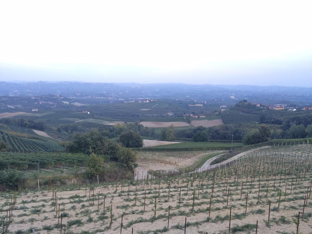 Verduno旅游攻略图片