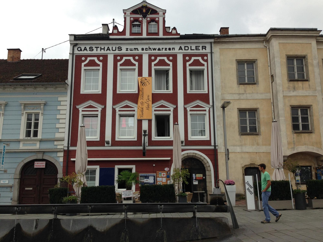 Ottensheim酒店住宿-Hotel Schwarzer Adler