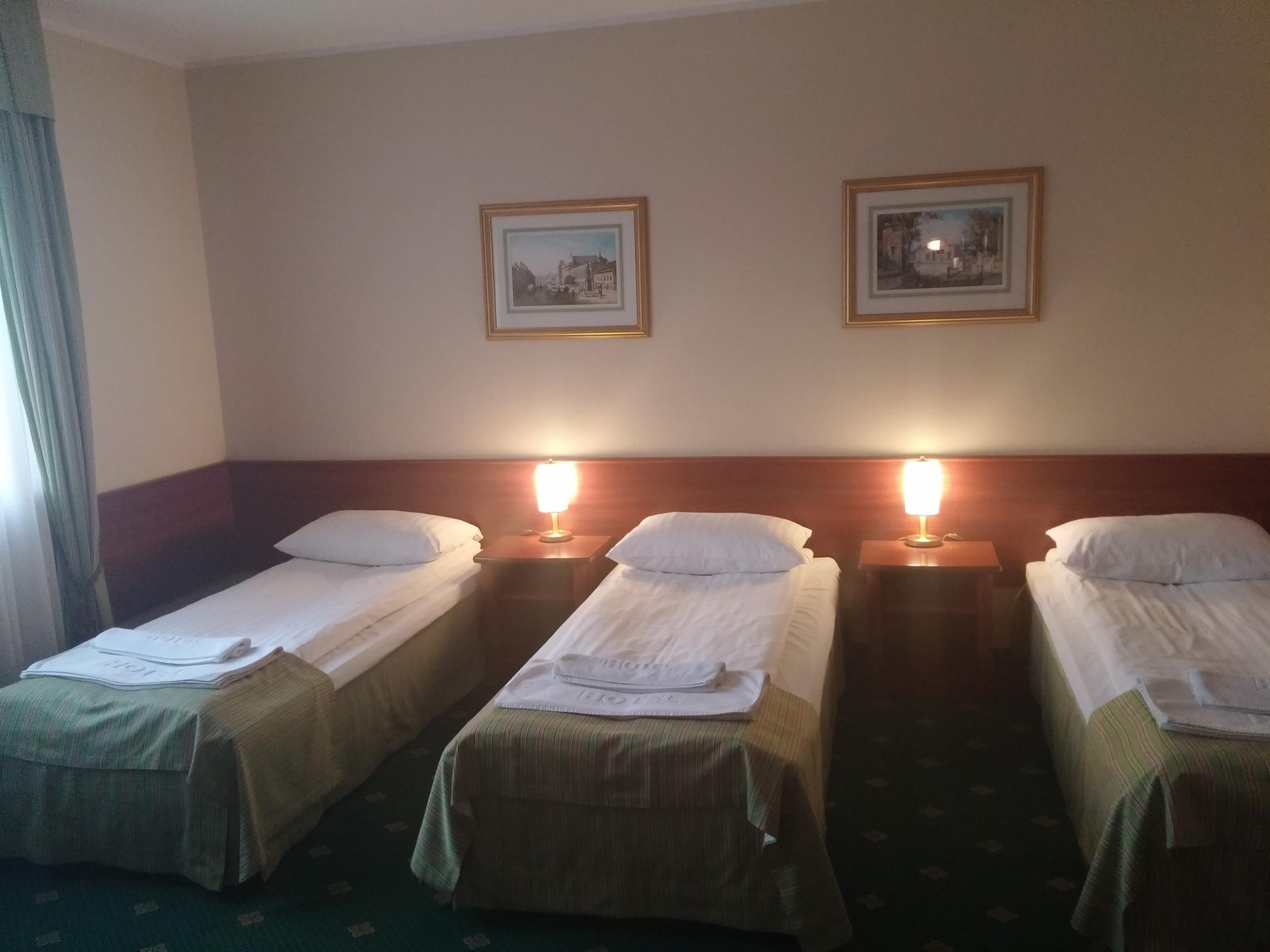 Hotel Batory-客卧