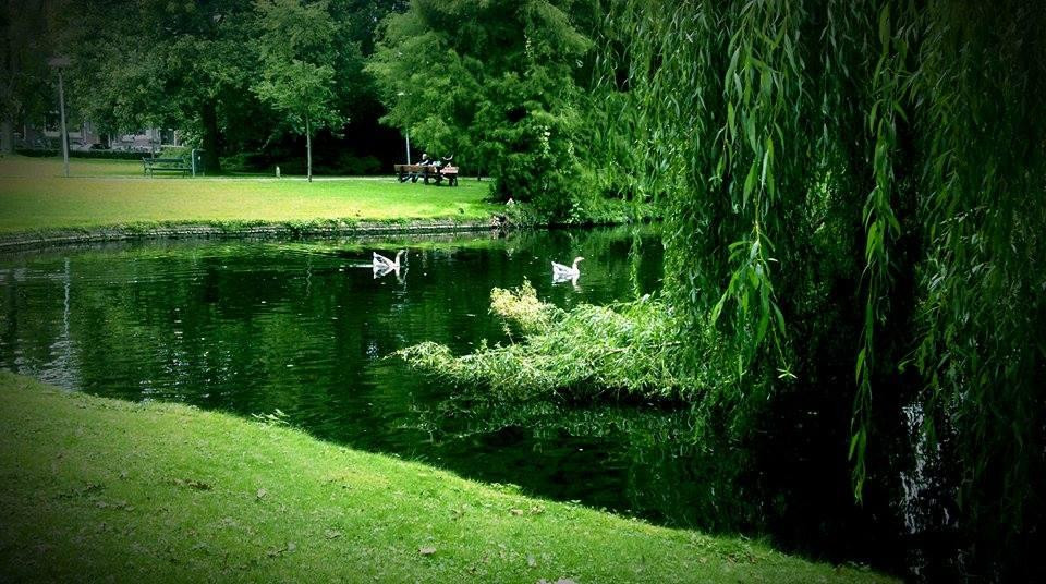 Wilhelminapark-乌特勒支必去景点