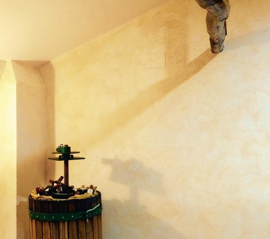 Bodega Sarmentero景点图片