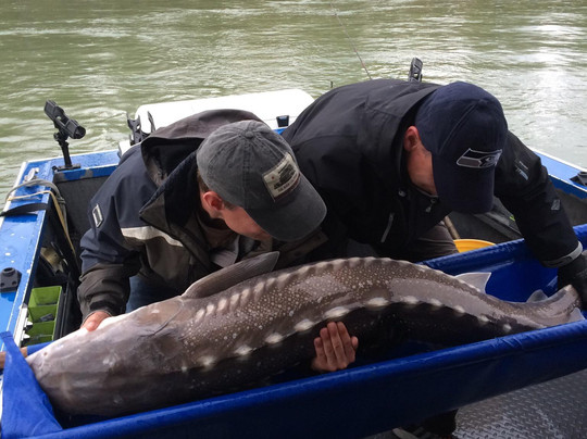 Prestige Sportfishing-Harrison Mills必去景点