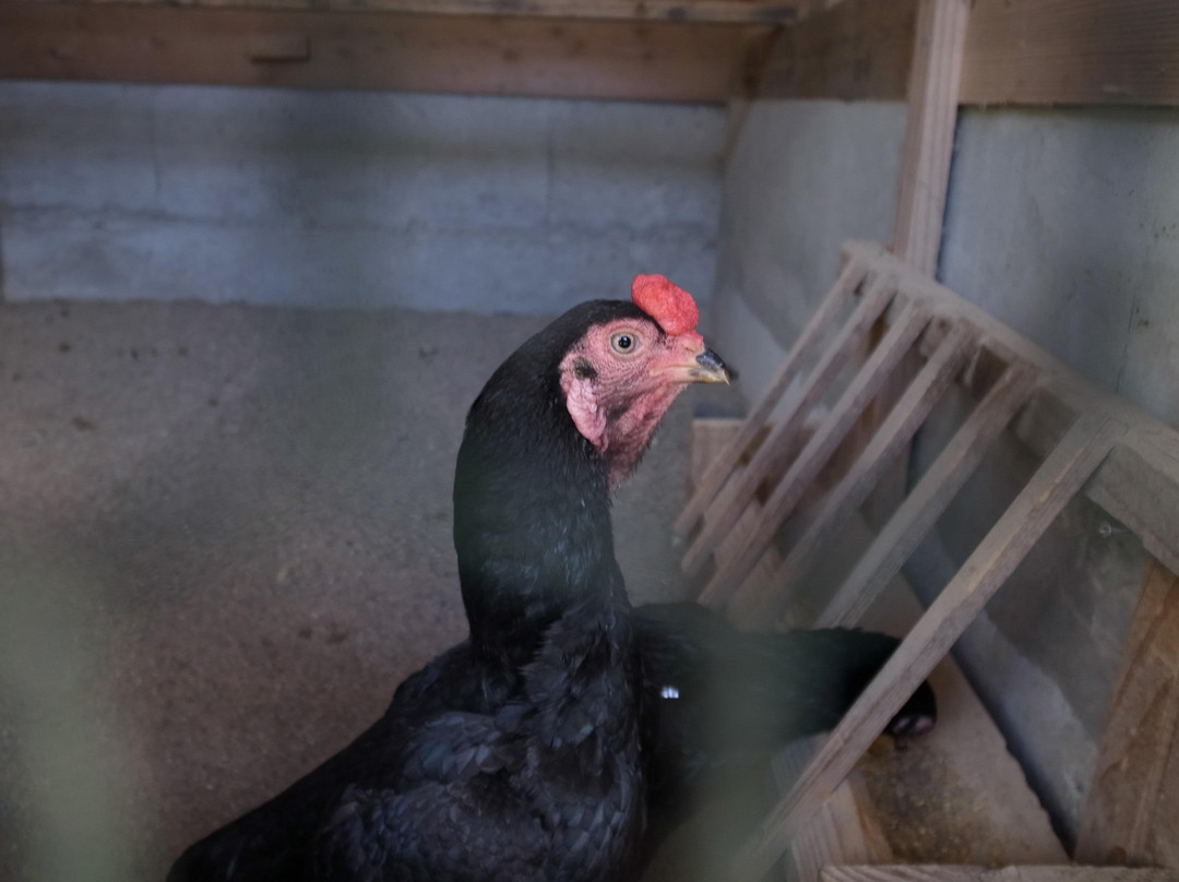 Tazawako Kyoei Palace-仙北市必去景点