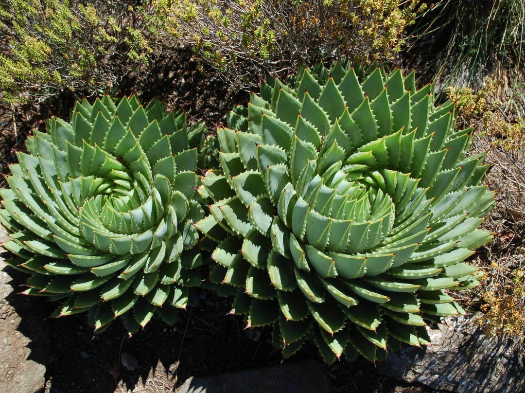 Katse Dam-马塞卢必去景点