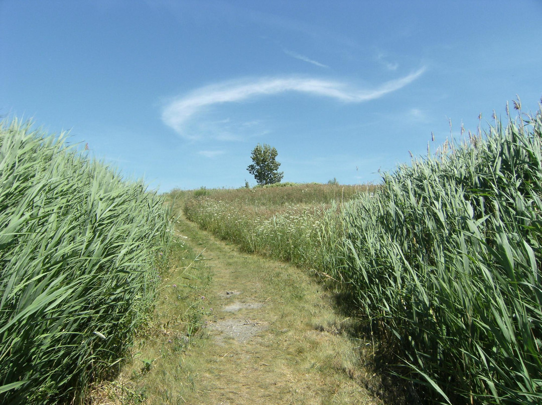 Glenridge Quarry Naturalization Site-圣凯瑟琳斯必去景点