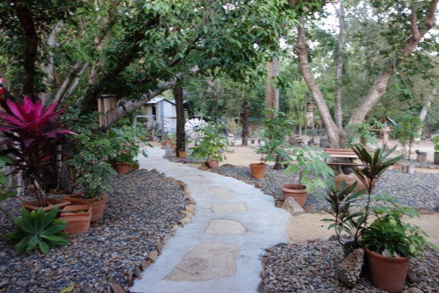 Bogie River Bush House-泳池