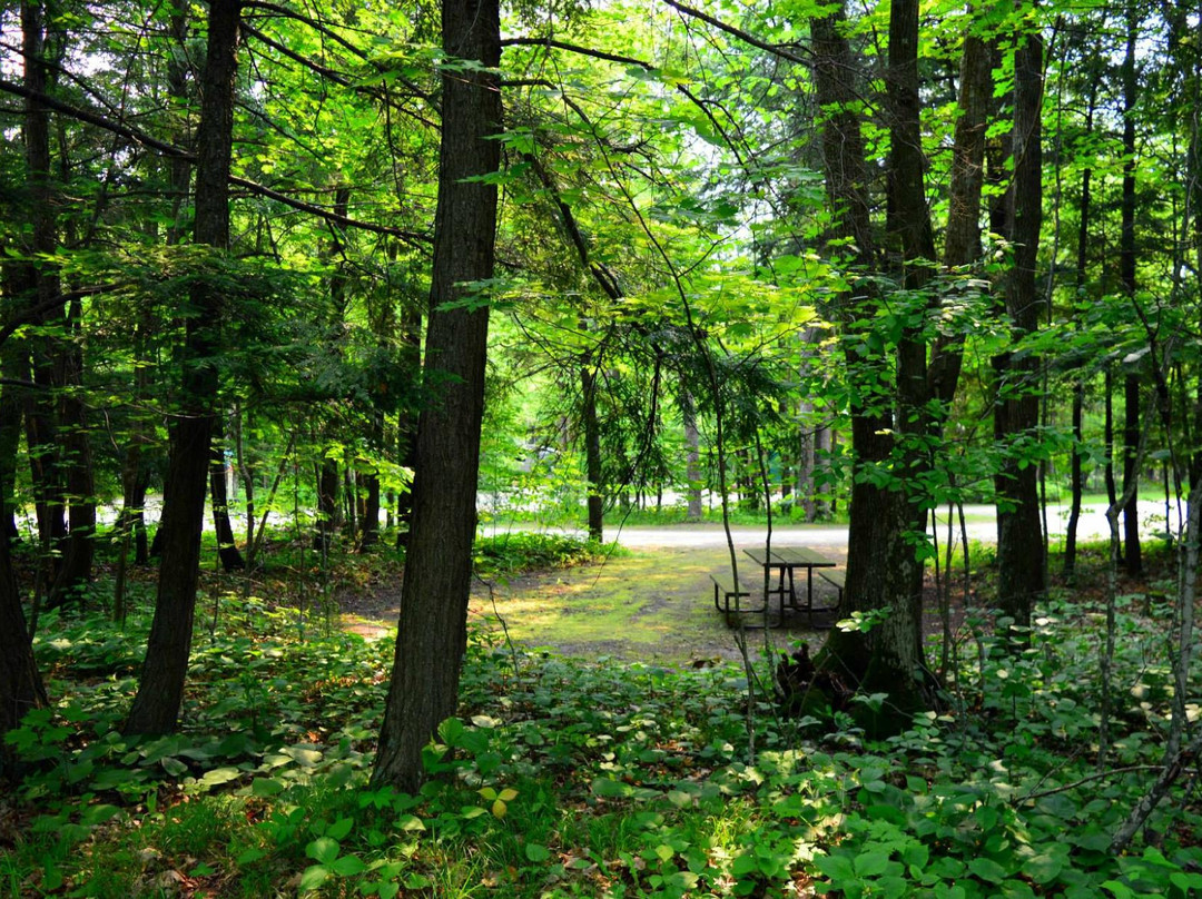 Rustic Timbers Door County Camping