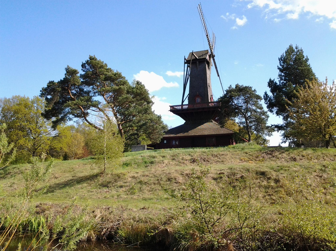 Internationales Wind- und Wassermuehlen-Museum-Gifhorn必去景点