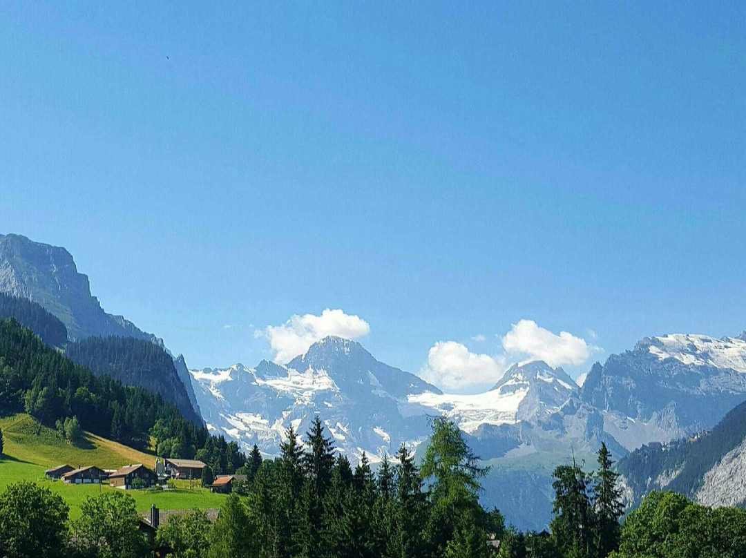 Chalet Aelpli Bed and Breakfast
