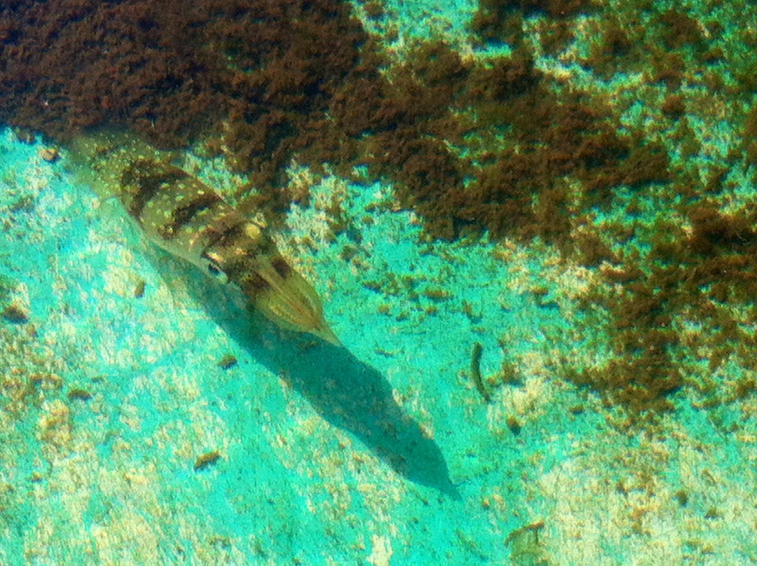 Block Island Maritime Institute-新肖勒姆必去景点