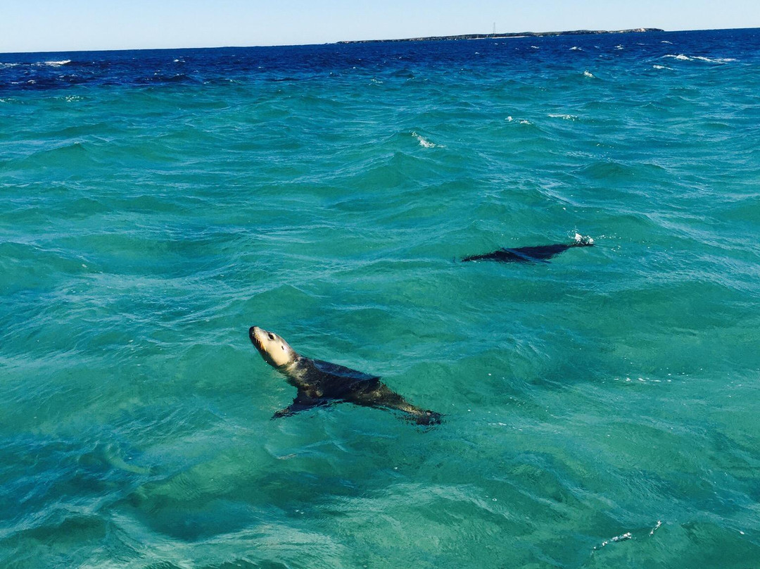 Turquoise Safaris-朱里恩湾必去景点